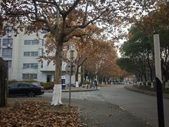 -上海第二工业大学(金海路校区)