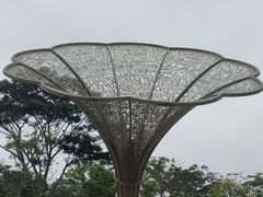 -白石龙音乐公园