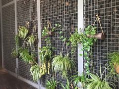 -肴约·花园式餐厅(湖里店)