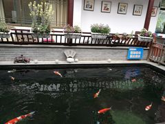 -华庭苑农家乐(旺山店)