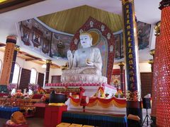 -龙口南山旅游景区