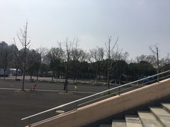 -上海大学生体育中心游泳馆(松江店)