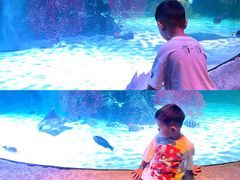 -沈阳海洋探索中心