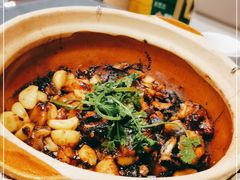 -金龙·打边炉(南京西路店)