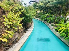 -亚马逊丛林水乐园