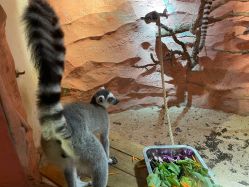 -Zoolung Zoolung动物主题公园(海信广场店)