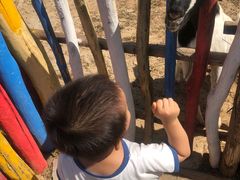 -西部长青自然儿童乐园