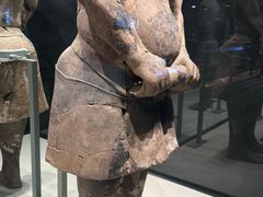 -秦始皇帝陵博物院-丽山园