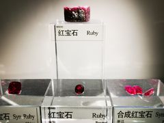 -中国地质博物馆
