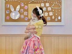 -猫猫幼稚园·撸猫·桌游·电玩