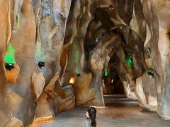 -杭州开元森泊度假乐园