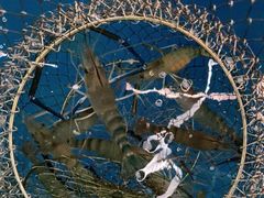 -SHRIMP CLUB万东餐饮钓虾·清吧