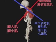 -Dr.stretch·拉伸博士(环球金融中心店)