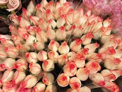 -循礼门鲜花花市(武汉循礼门店)