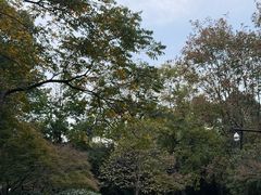 -杭州城北体育公园