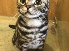 -藦茜花园宠物主题亲子互动体验馆(国顺东路店)
