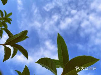 很适合小情侣和小家庭去游玩，多走走