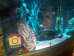 -沈阳海洋探索中心