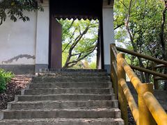 -上海佘山国家森林公园天马山园