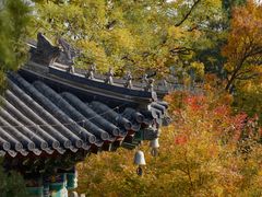 -香山公园