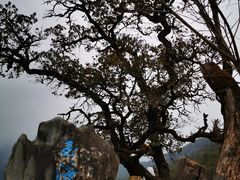 -玉龙雪山蓝月谷