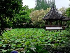 -上海醉白池公园