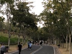 -牛岗山公园