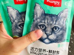 -佳怡动物医院·平价24小时·猫专科骨外科