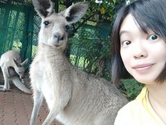 -热带雨林自然公园