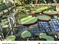 -国家植物园南园