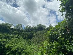 -海口火山口国家地质公园