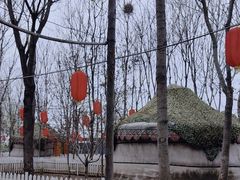 -草根堂农场