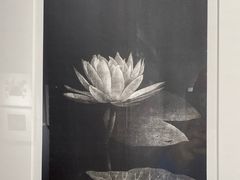 -徐汇艺术馆