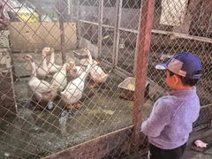 -鱼窝棚柴火铁锅炖(富山屯店)