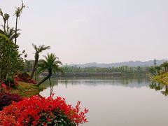 -枫香湖儿童公园