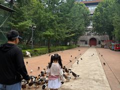 -大明幻境第一城