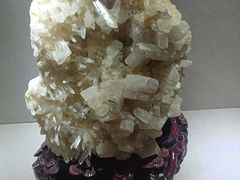 -陕西自然博物馆