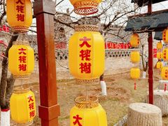 -大槐树寻根祭祖园