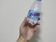 -深圳东部华侨城茵特拉根酒店