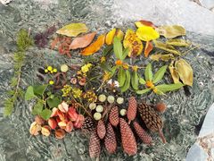 -白塘生态植物园