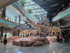 -安徽省地质博物馆