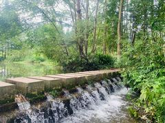 -桤木河湿地公园