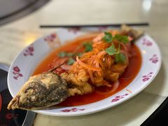 -得心斋(国瑞升平里店)