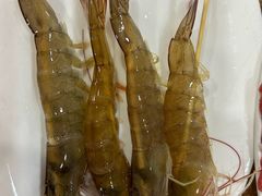 -濠轩阁特色生蚝火锅(水湾路店)