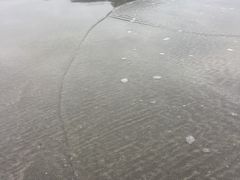 -台山黑沙湾海浴场