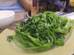 炒通菜-贞姨美食·老字号海鲜大排档