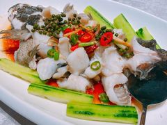 鲫鱼-粤凤佬