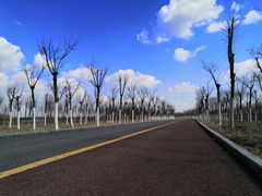 -天津东丽湖风景区