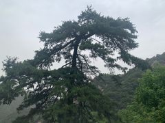 -秦岭终南山世界地质公园翠华山景区