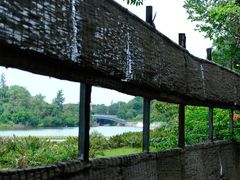 -华侨城湿地公园